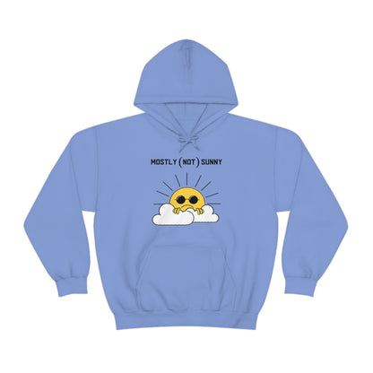 Mostly (Not) Sunny Hoodie