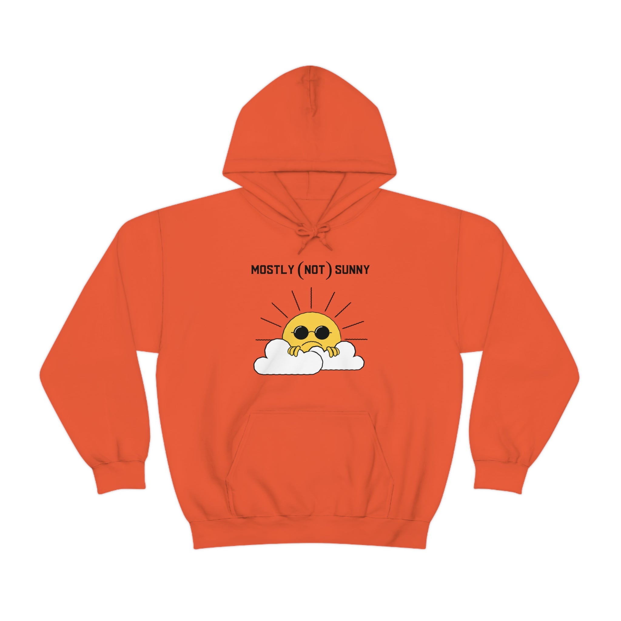 Mostly (Not) Sunny Hoodie 