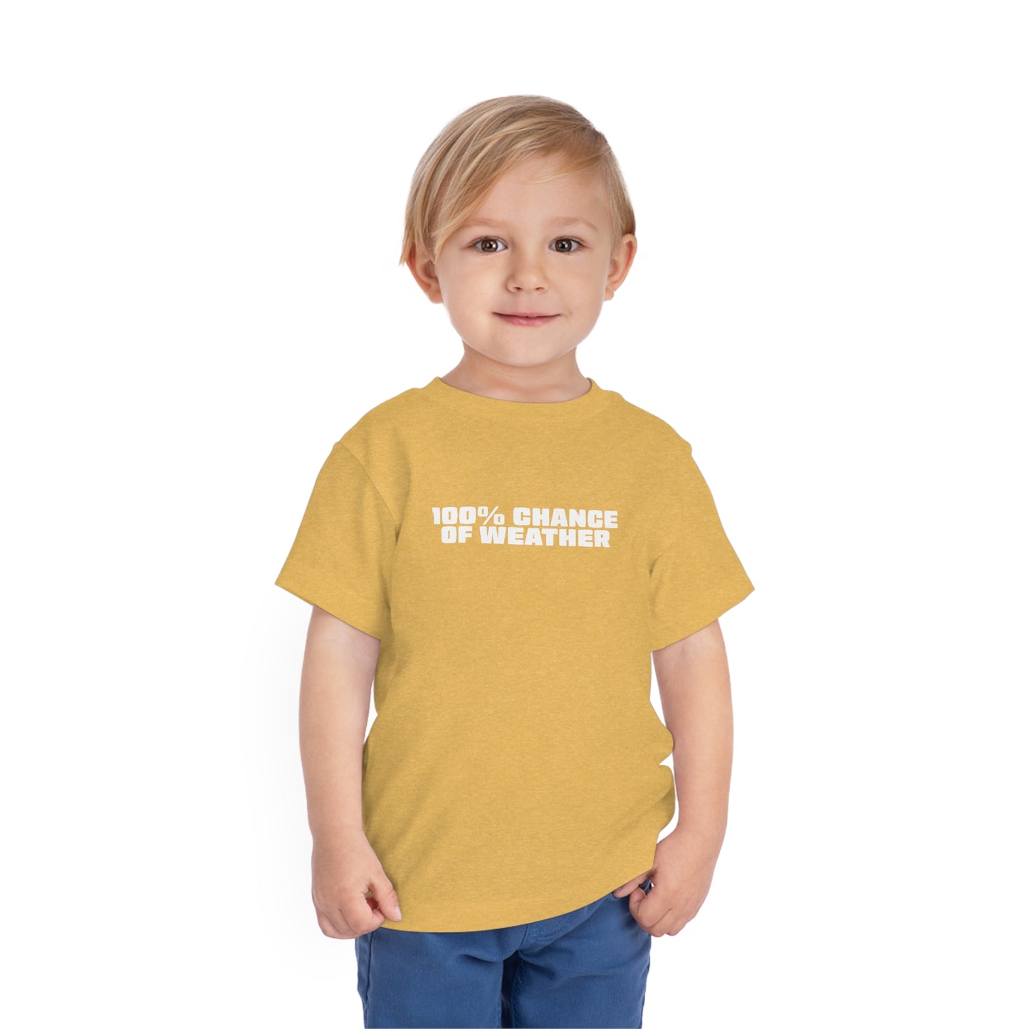 100% Chance of Weather Toddler Tee