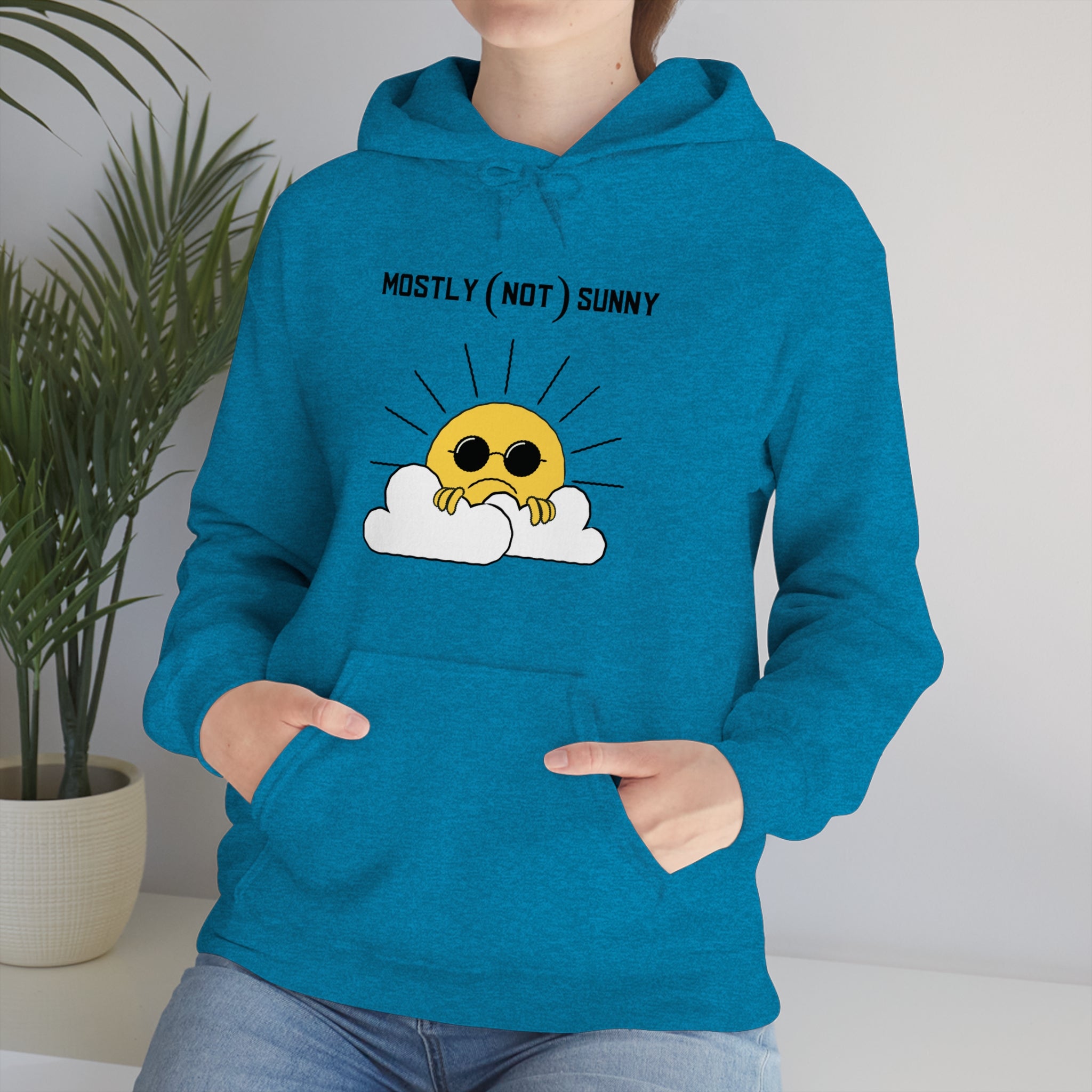 Mostly (Not) Sunny Hoodie 