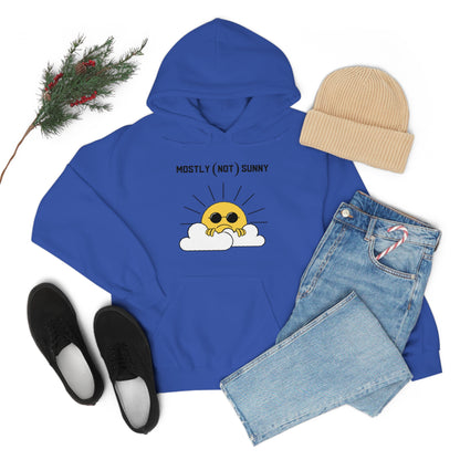 Mostly (Not) Sunny Hoodie