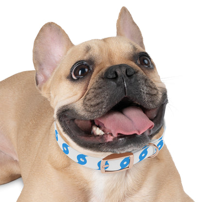 Hurricane Icon (Blue) Dog Collar