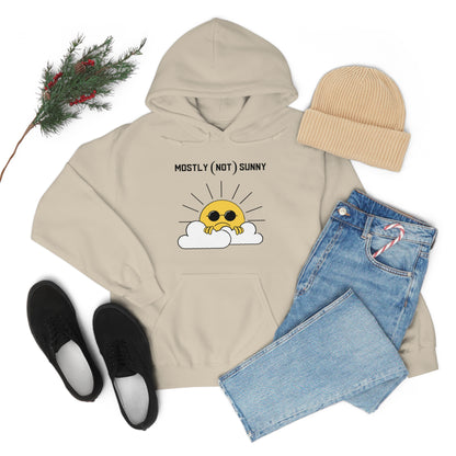 Mostly (Not) Sunny Hoodie