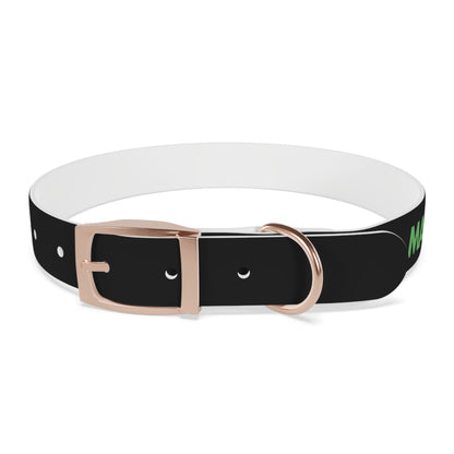 Severe Outlook Dog Collar