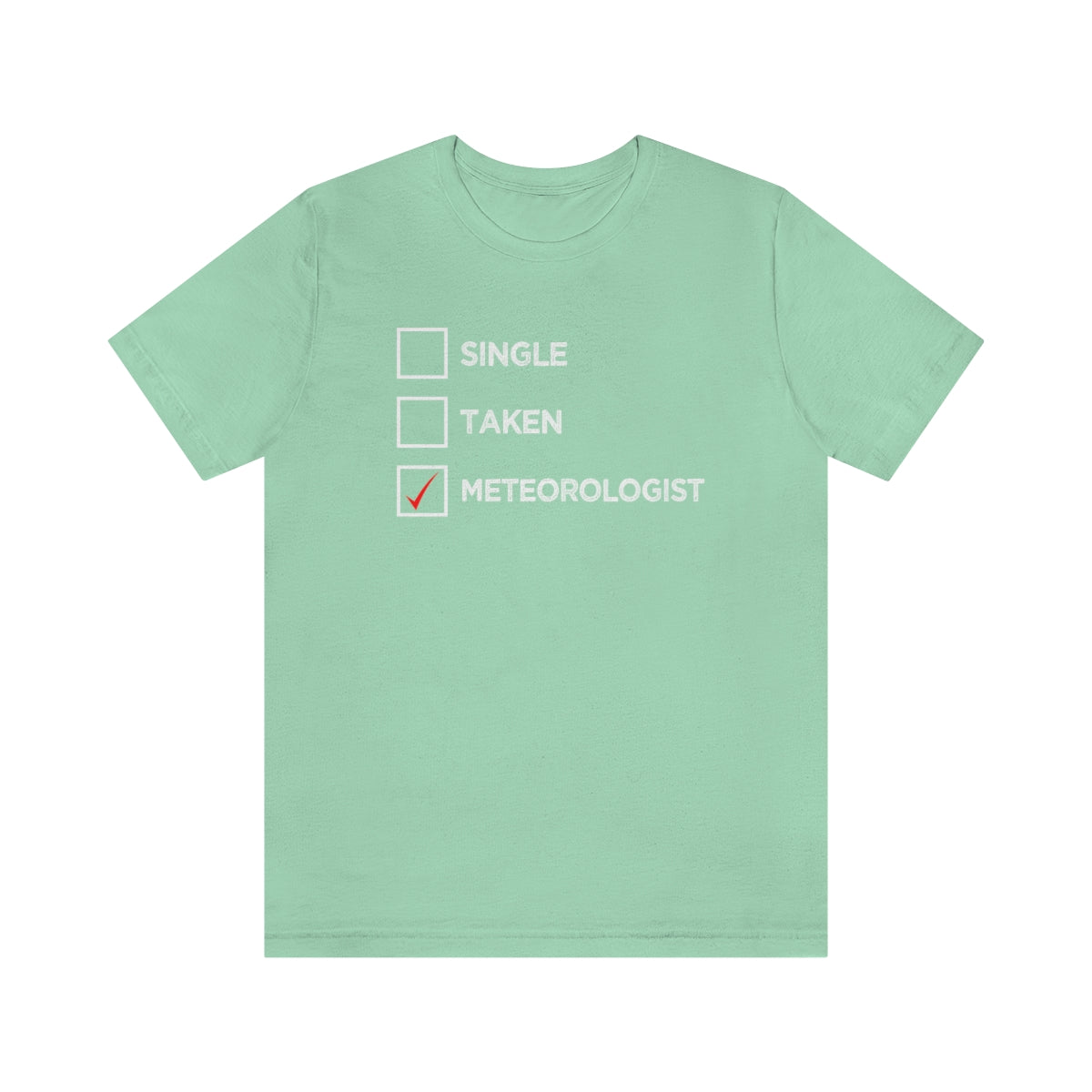 Single, Taken, Meteorologist Tee