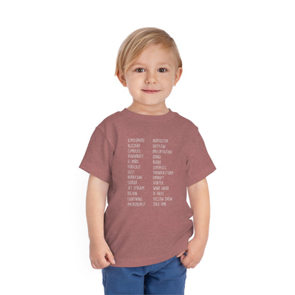 Weather ABCs Toddler Tee