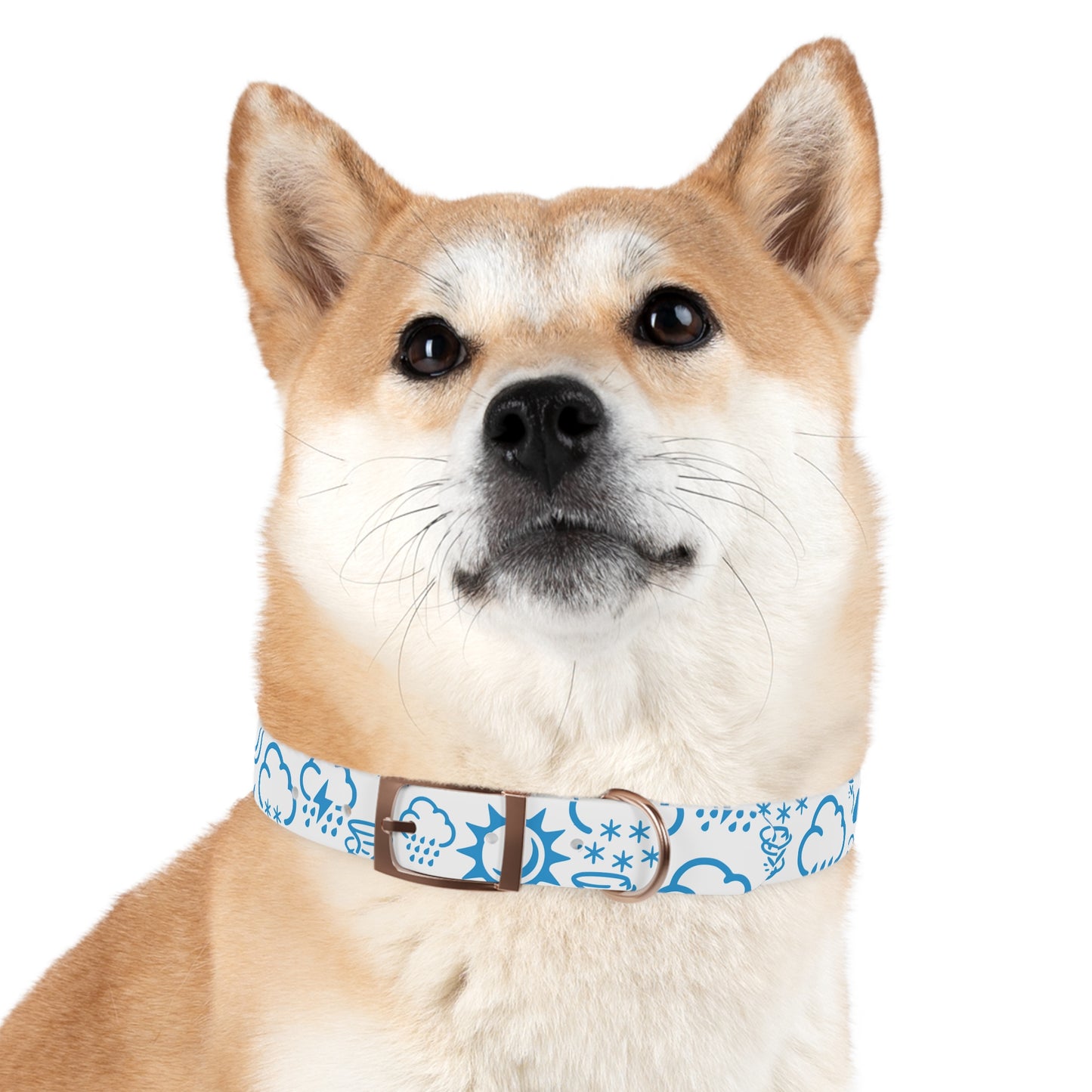 Wx Icon (White/Blue) Dog Collar