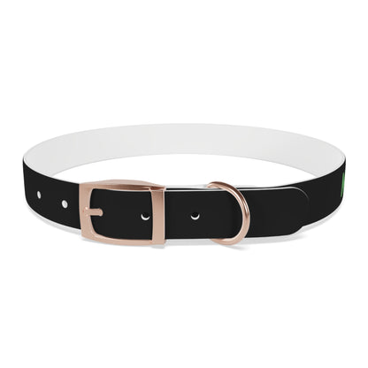 Severe Outlook Dog Collar