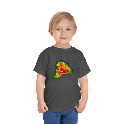 Hook Echo Toddler Tee