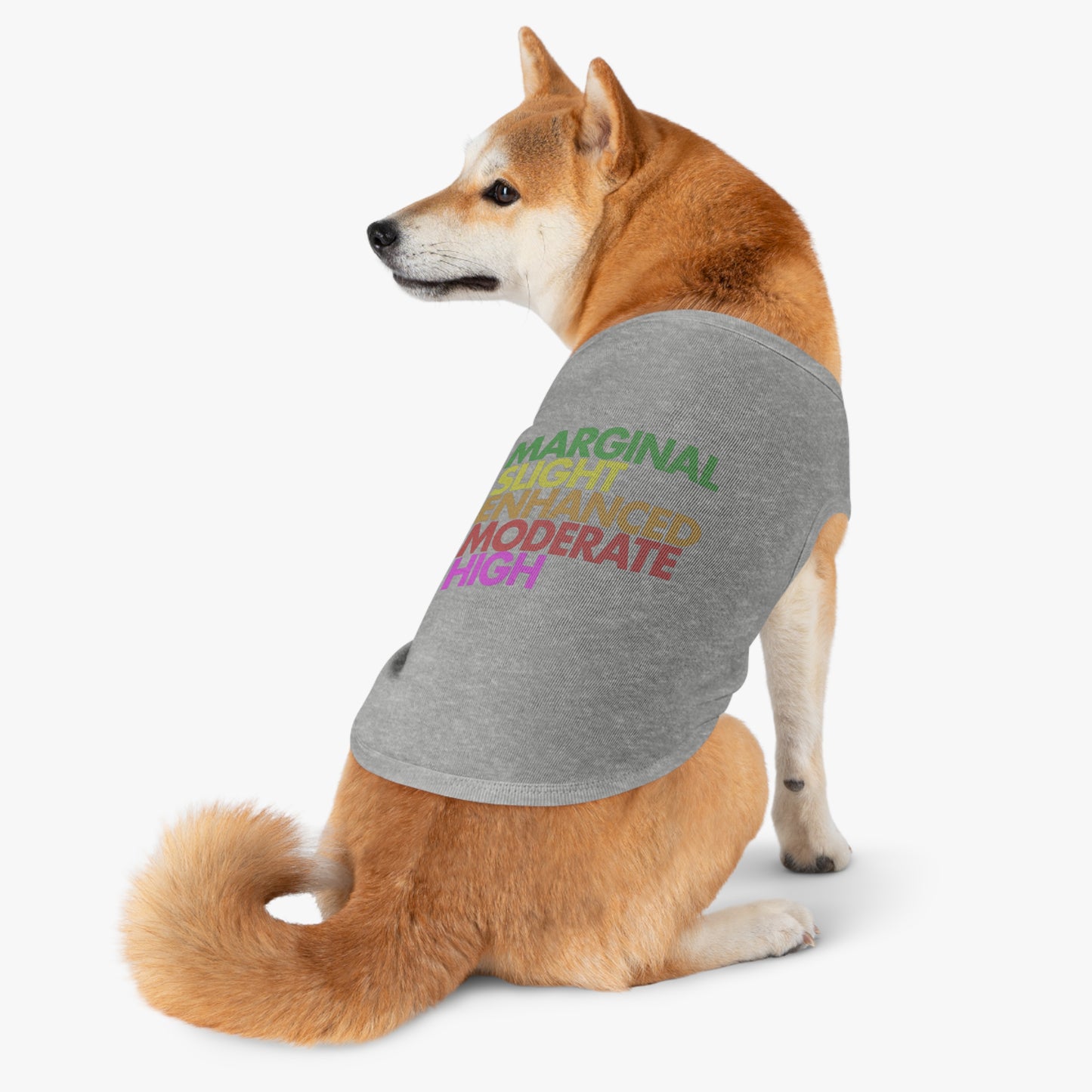 Severe Outlook Pet Shirt