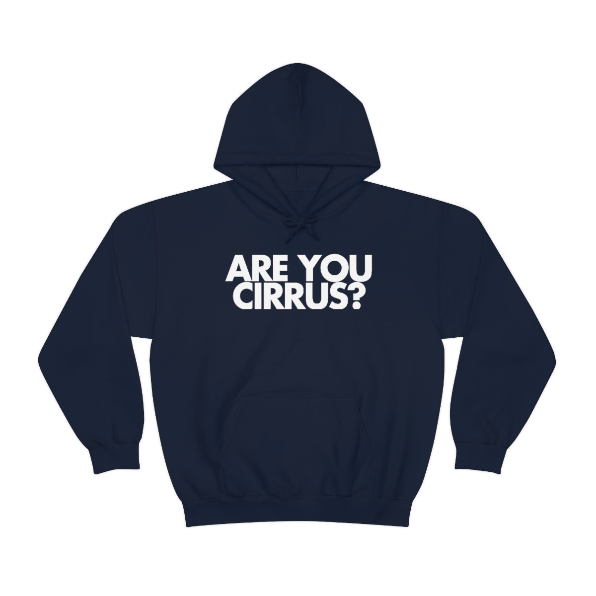 Are You Cirrus? Hoodie 