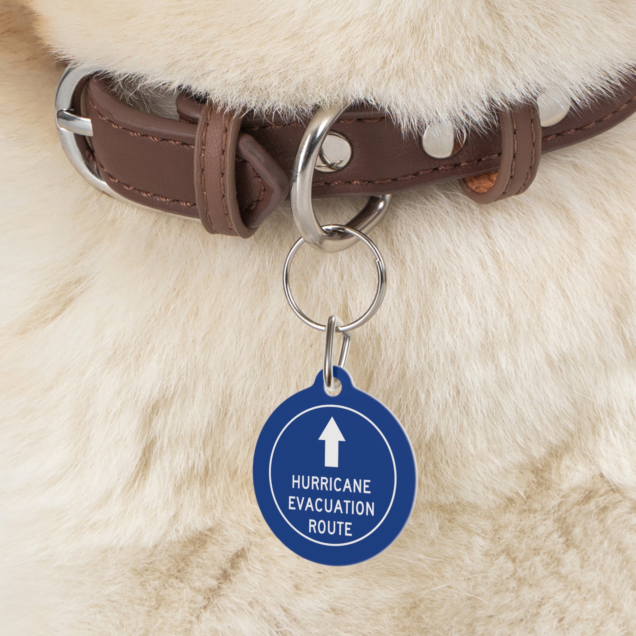 Hurricane Evacuation Route Pet Tag 