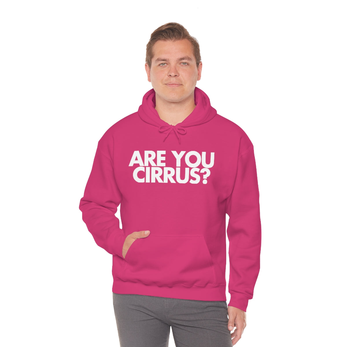 Are You Cirrus? Hoodie