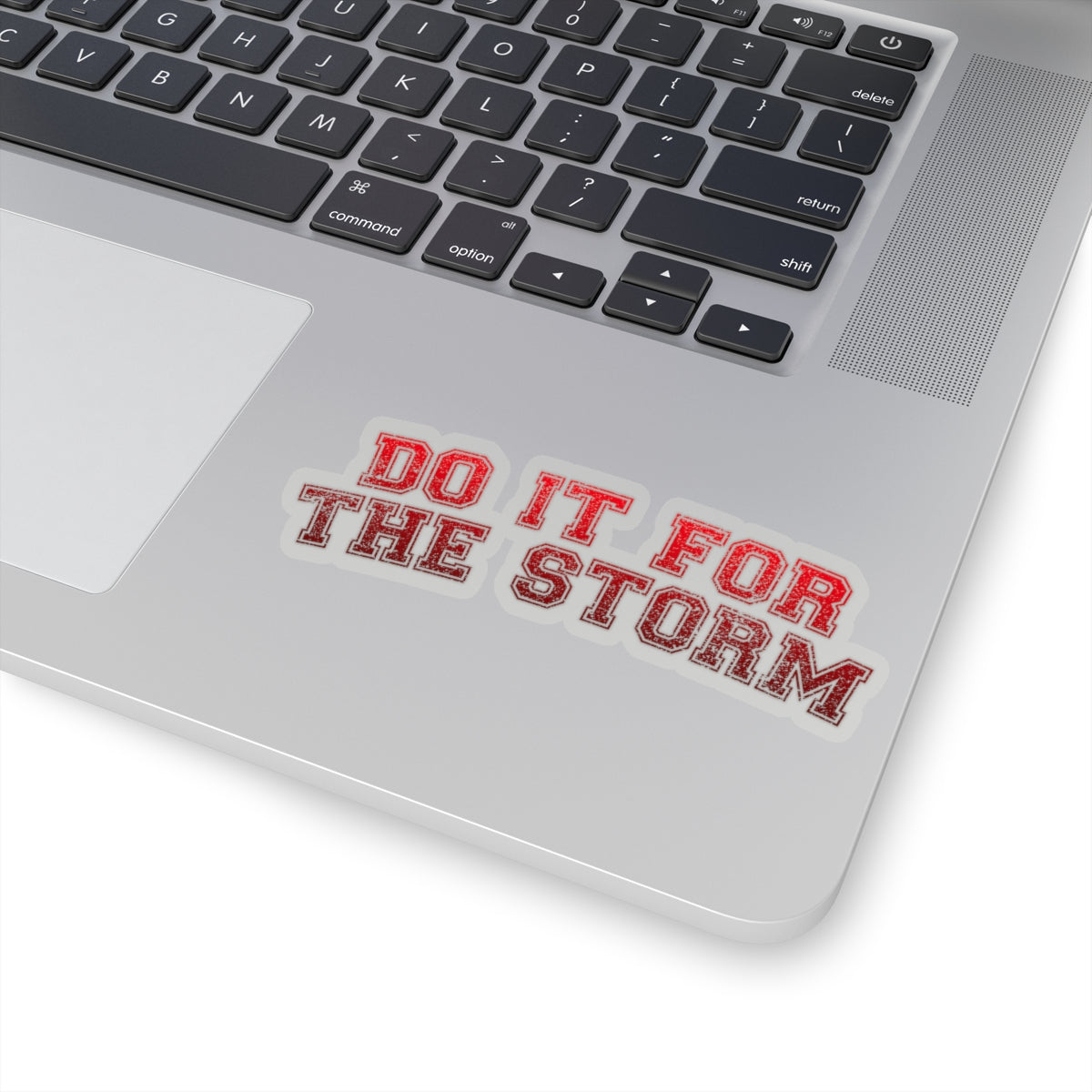 Do It For The Storm Sticker