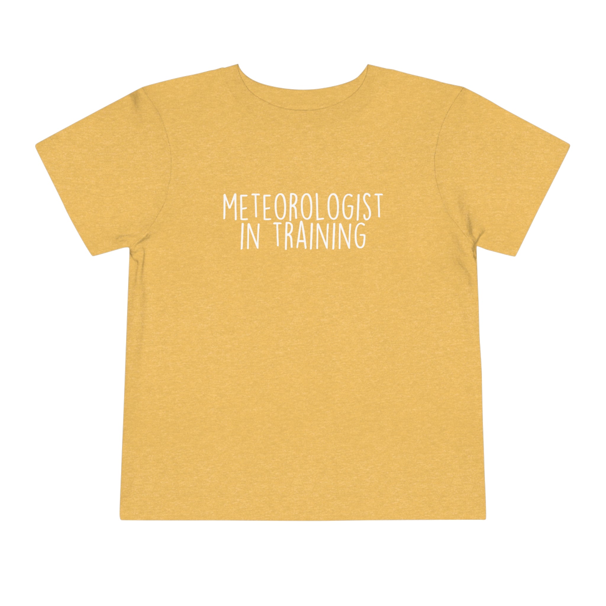 Meteorologist in Training Toddler Tee 