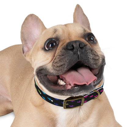 Lightning Icon (Black/Rainbow) Dog Collar