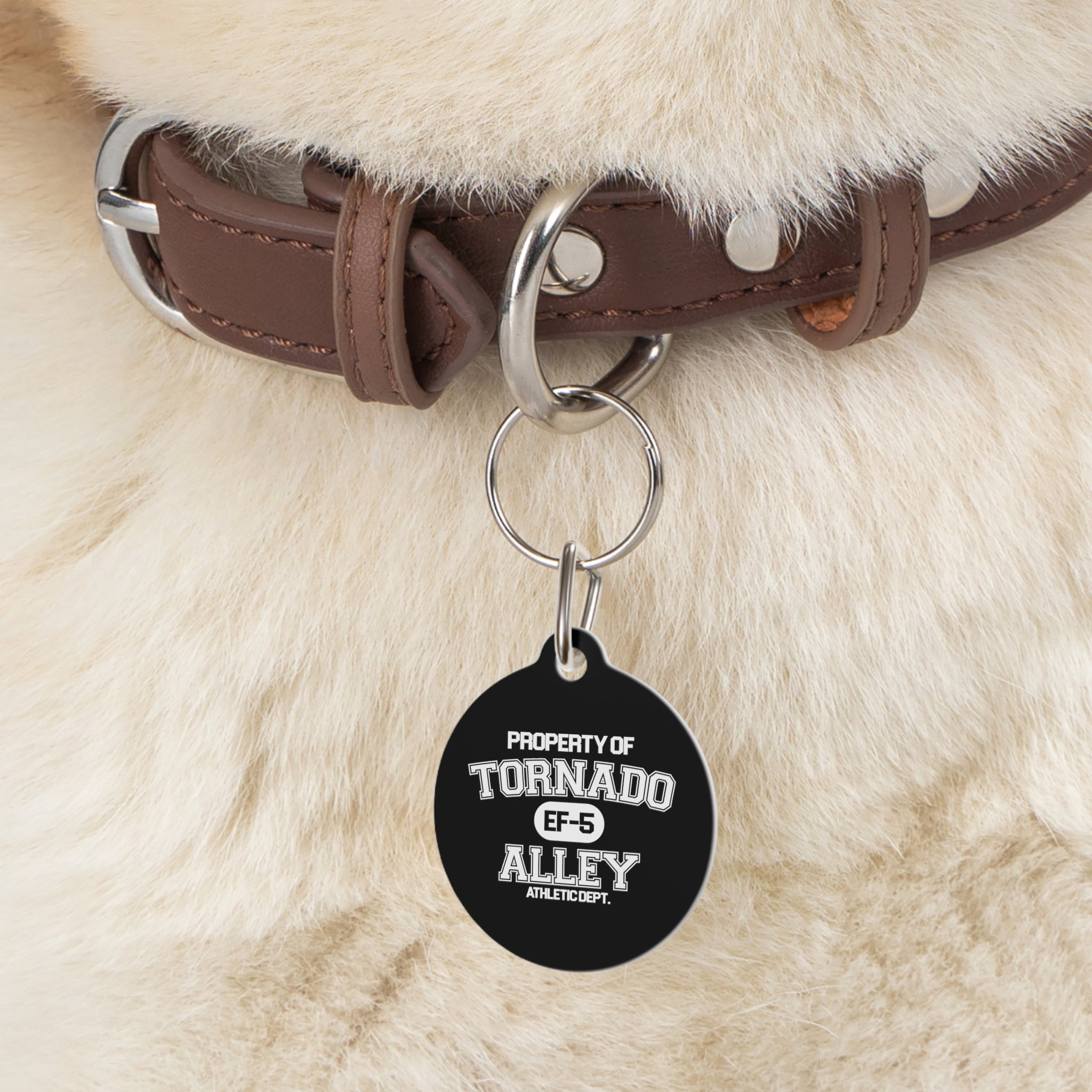 Tornado Alley Athletic Dept. Pet Tag 