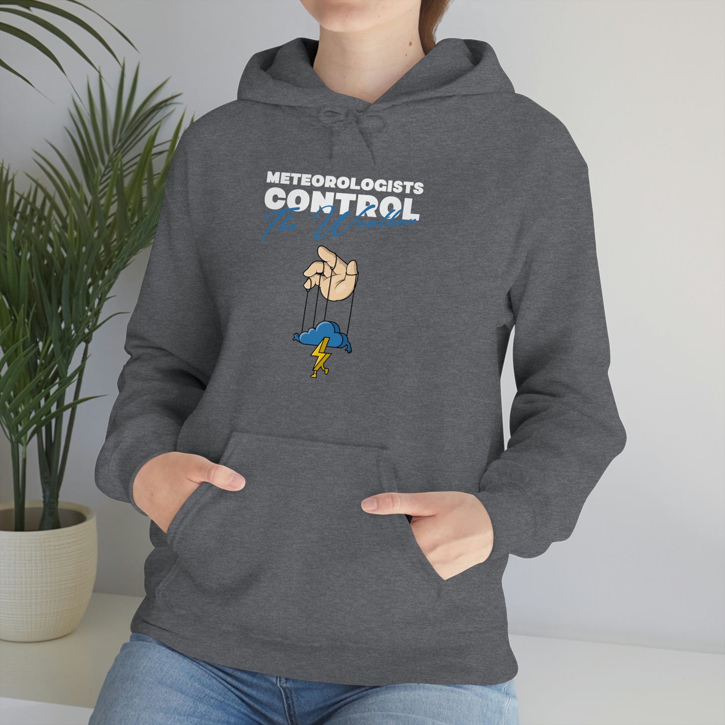 Meteorologists Control The Weather Hoodie