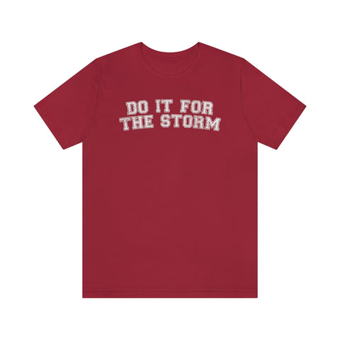 Do It For The Storm Tee