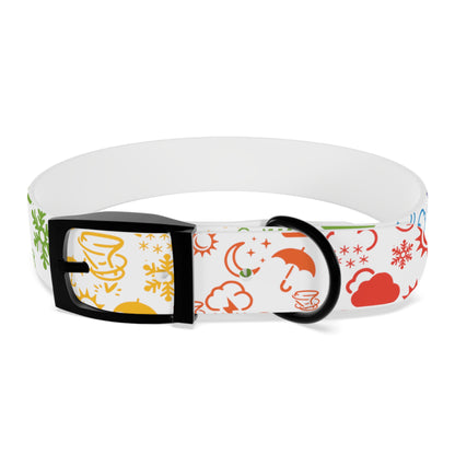 Wx Icon (White/Rainbow) Dog Collar