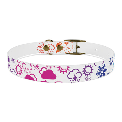 Wx Icon (White/Rainbow) Dog Collar