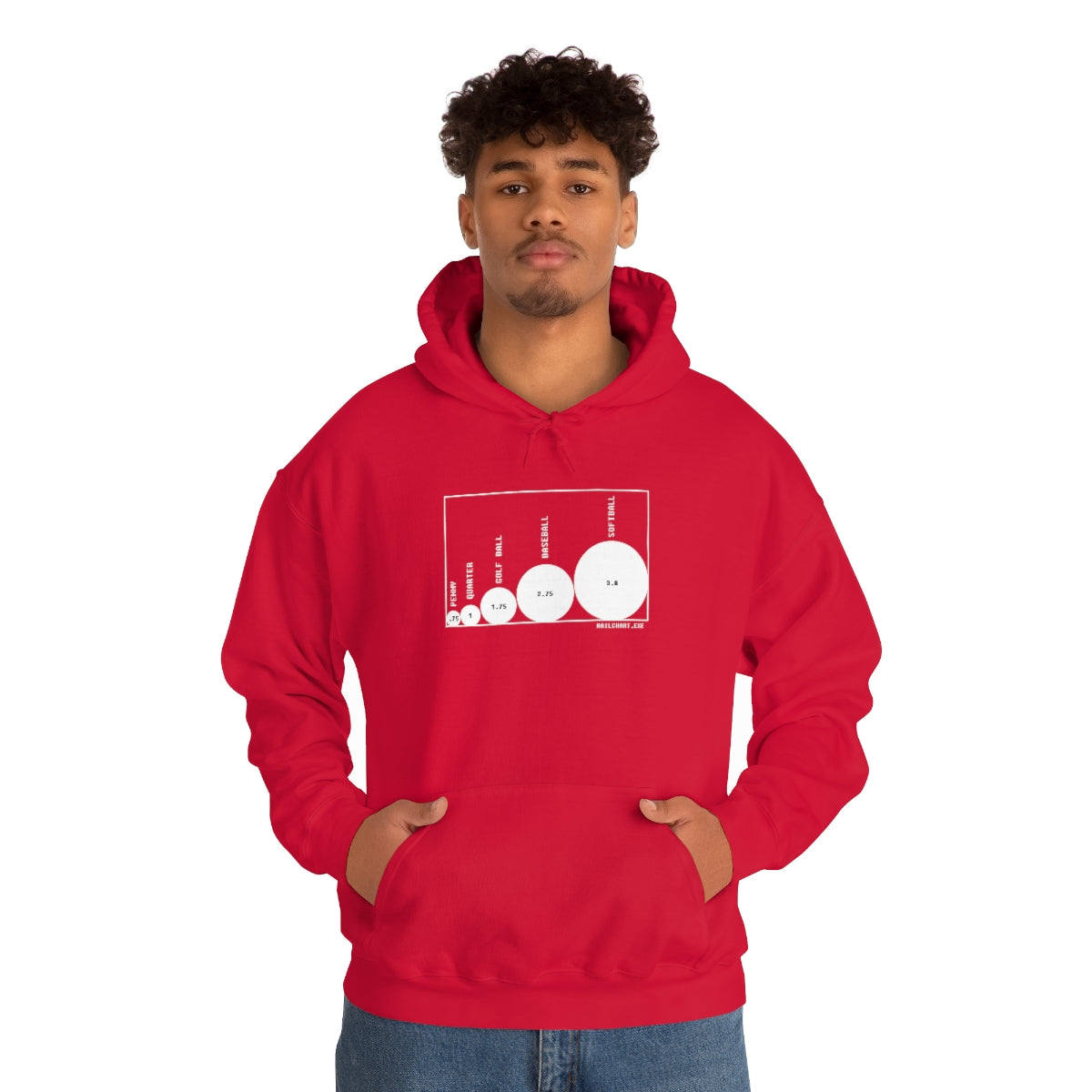 HailChart.exe Hoodie