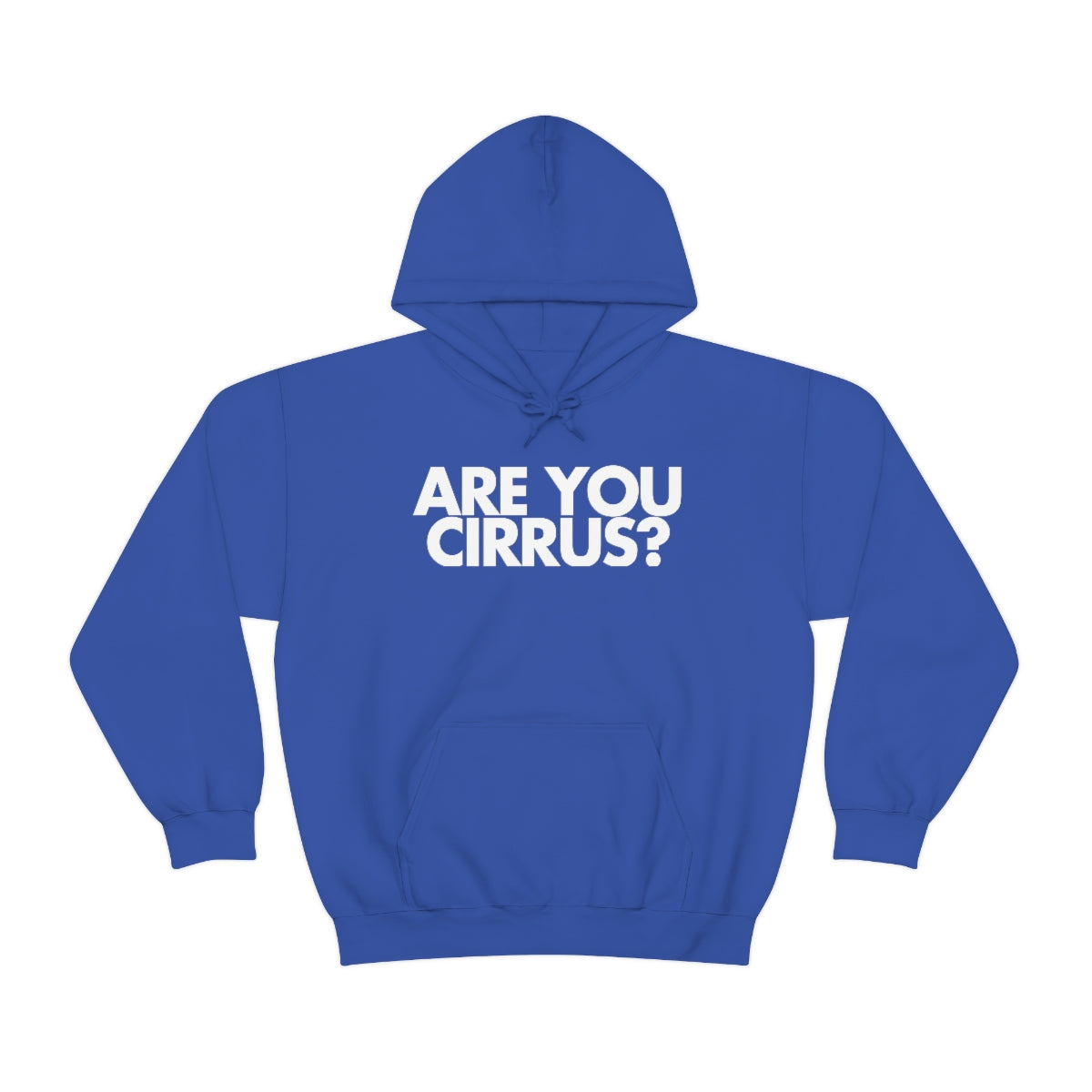 Are You Cirrus? Hoodie