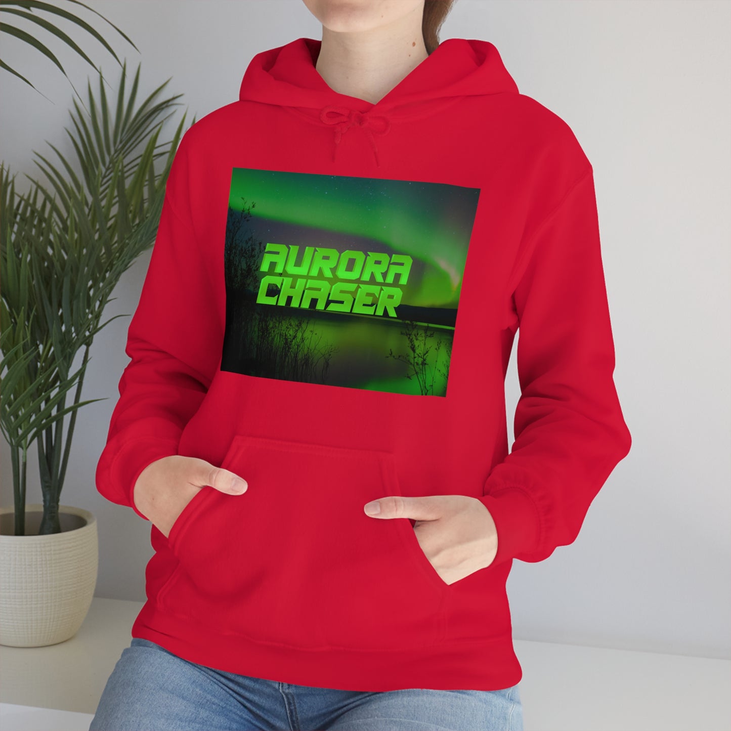 Aurora Chasers Hoodie