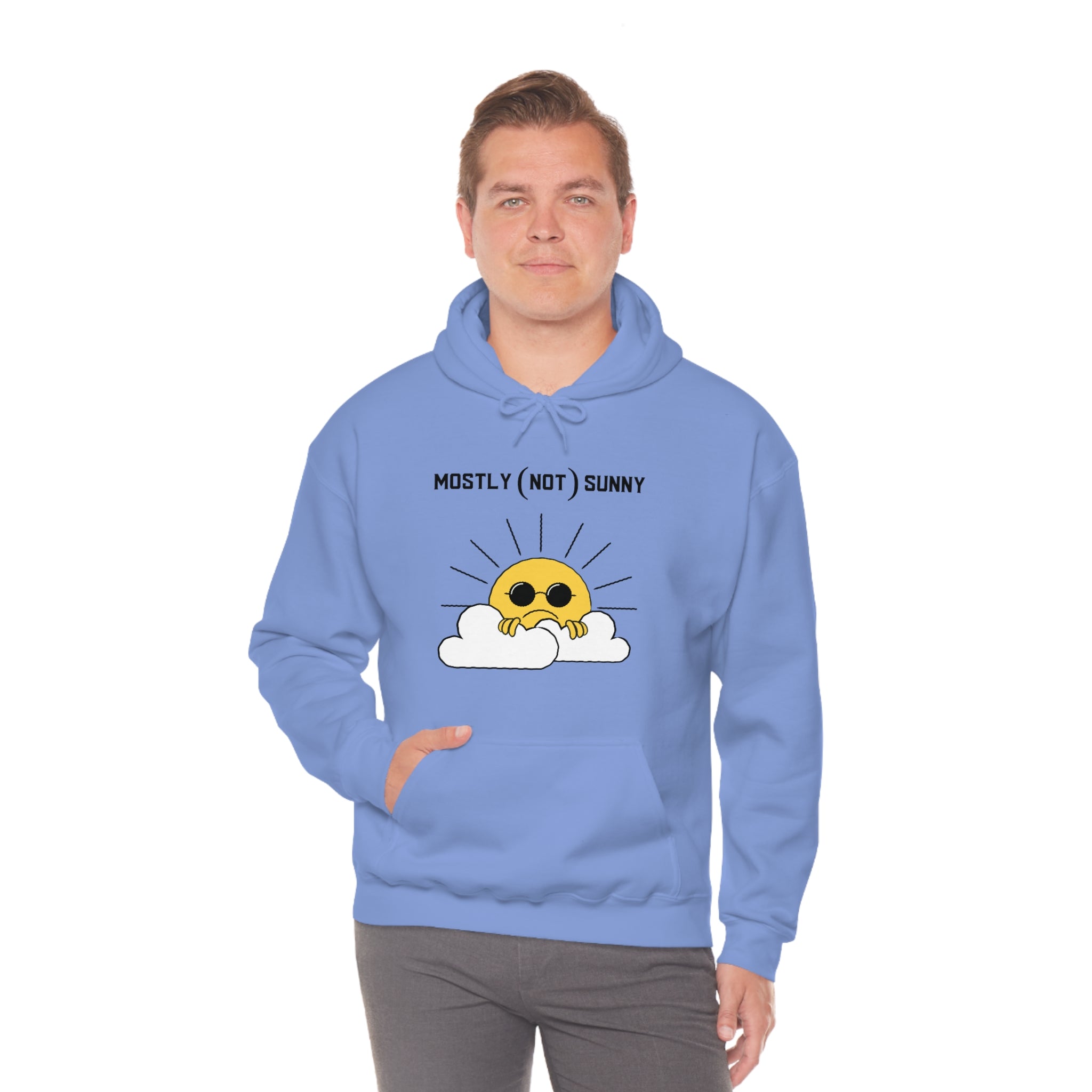 Mostly (Not) Sunny Hoodie 