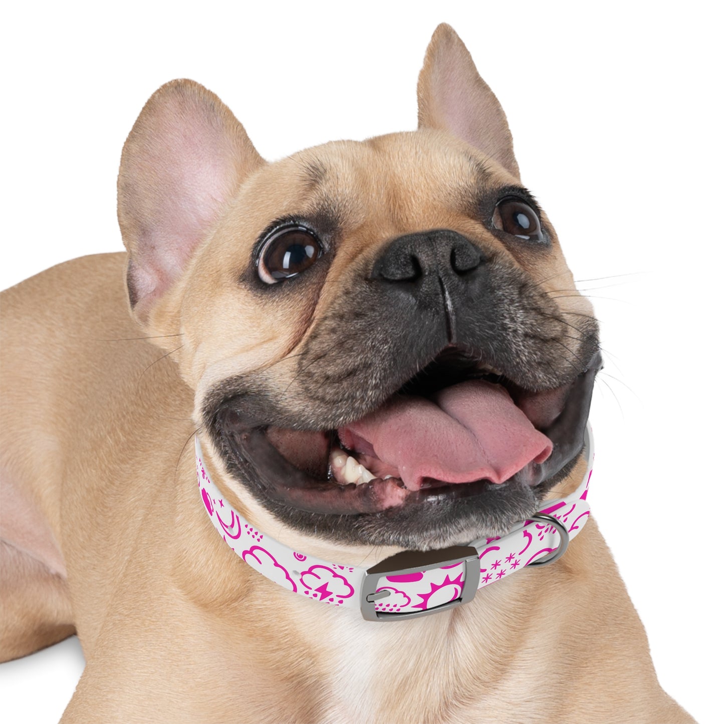 Wx Icon (White/Pink) Dog Collar