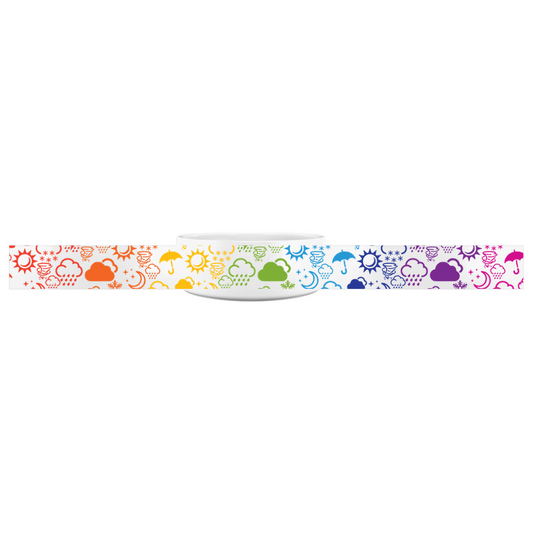 Wx Icon (Rainbow) Pet Bowl