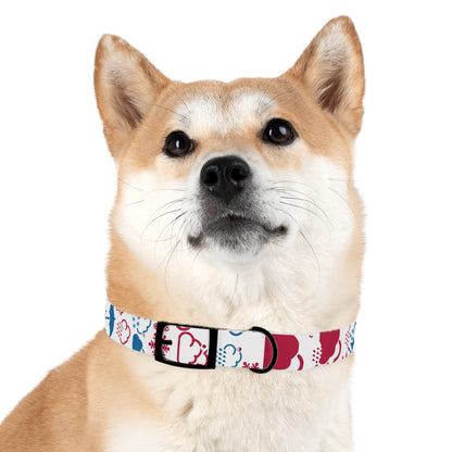 Wx Icon (Red/Blue) Dog Collar