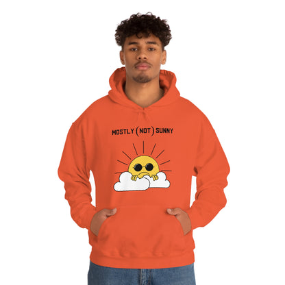 Mostly (Not) Sunny Hoodie