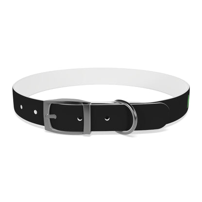 Severe Outlook Dog Collar