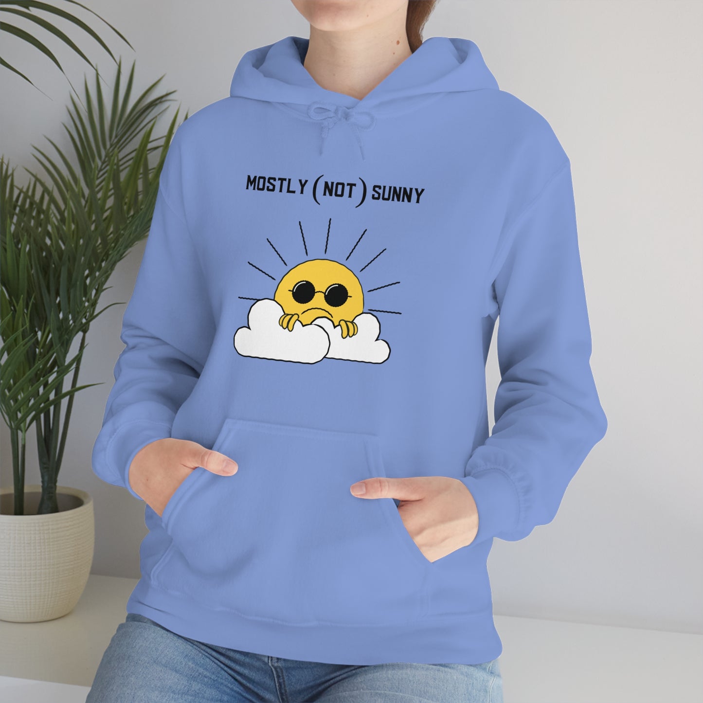 Mostly (Not) Sunny Hoodie