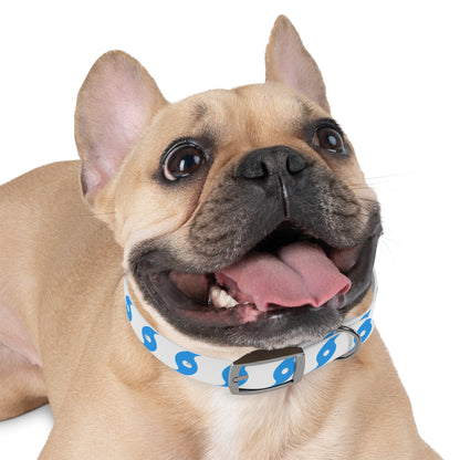 Hurricane Icon (Blue) Dog Collar