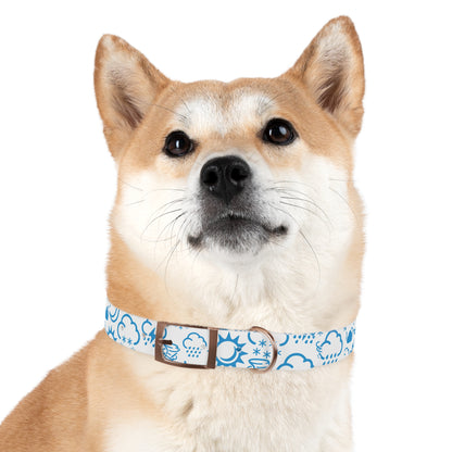 Wx Icon (White/Blue) Dog Collar