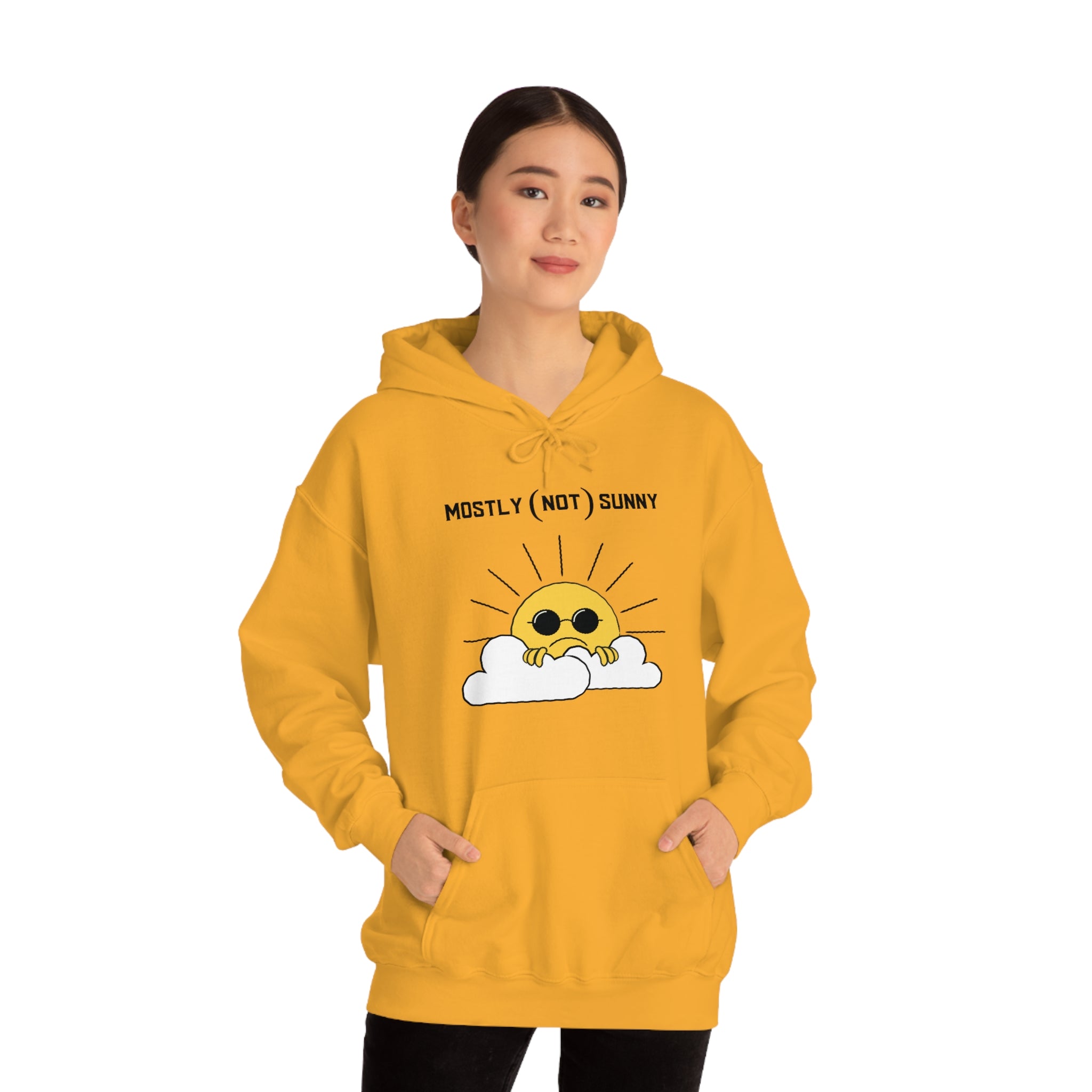 Mostly (Not) Sunny Hoodie 