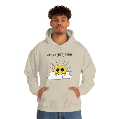 Mostly (Not) Sunny Hoodie