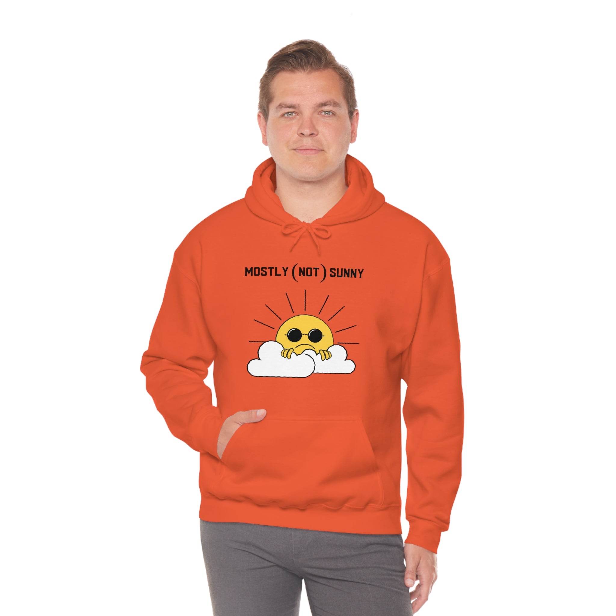 Mostly (Not) Sunny Hoodie 