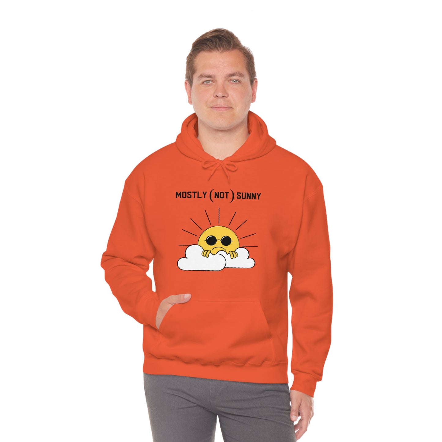 Mostly (Not) Sunny Hoodie