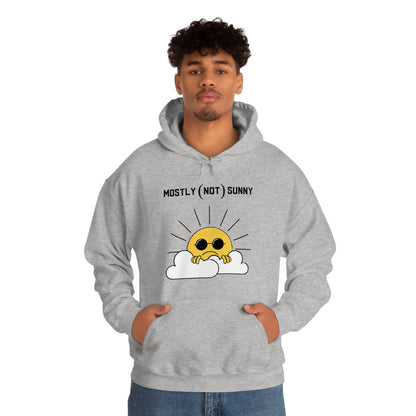 Mostly (Not) Sunny Hoodie