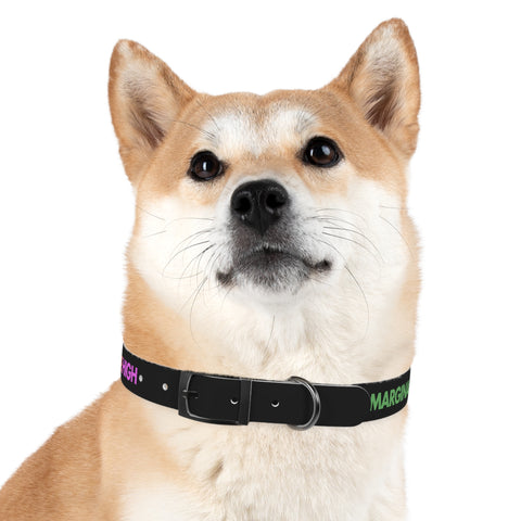 Severe Outlook Dog Collar