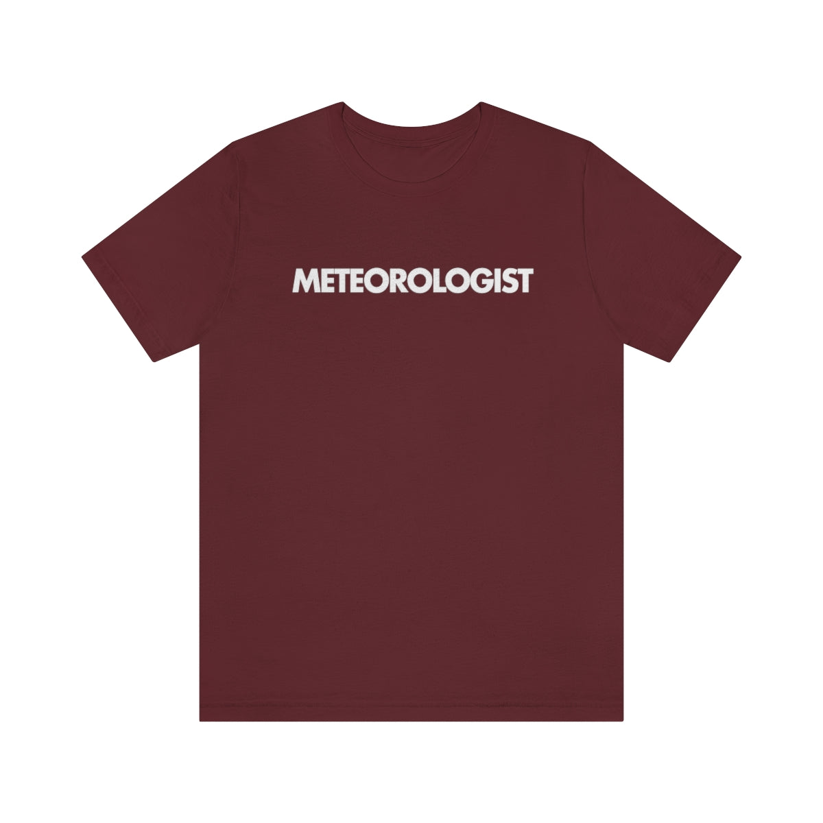 Meteorologist Tee