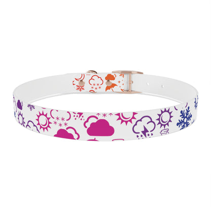 Wx Icon (White/Rainbow) Dog Collar