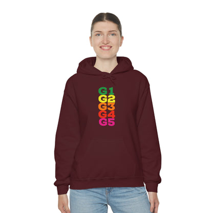 G Level Hoodie