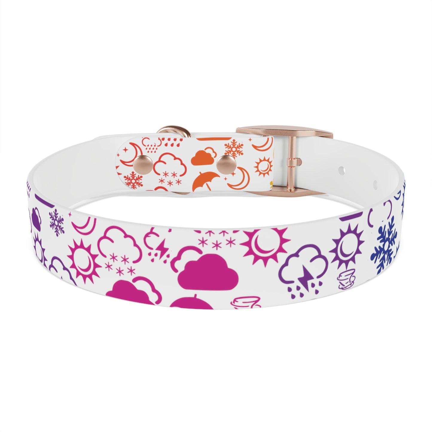 Wx Icon (White/Rainbow) Dog Collar