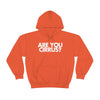 Are You Cirrus? Hoodie