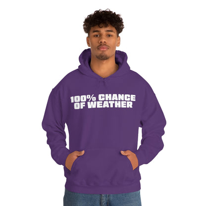 100% Chance of Weather Hoodie