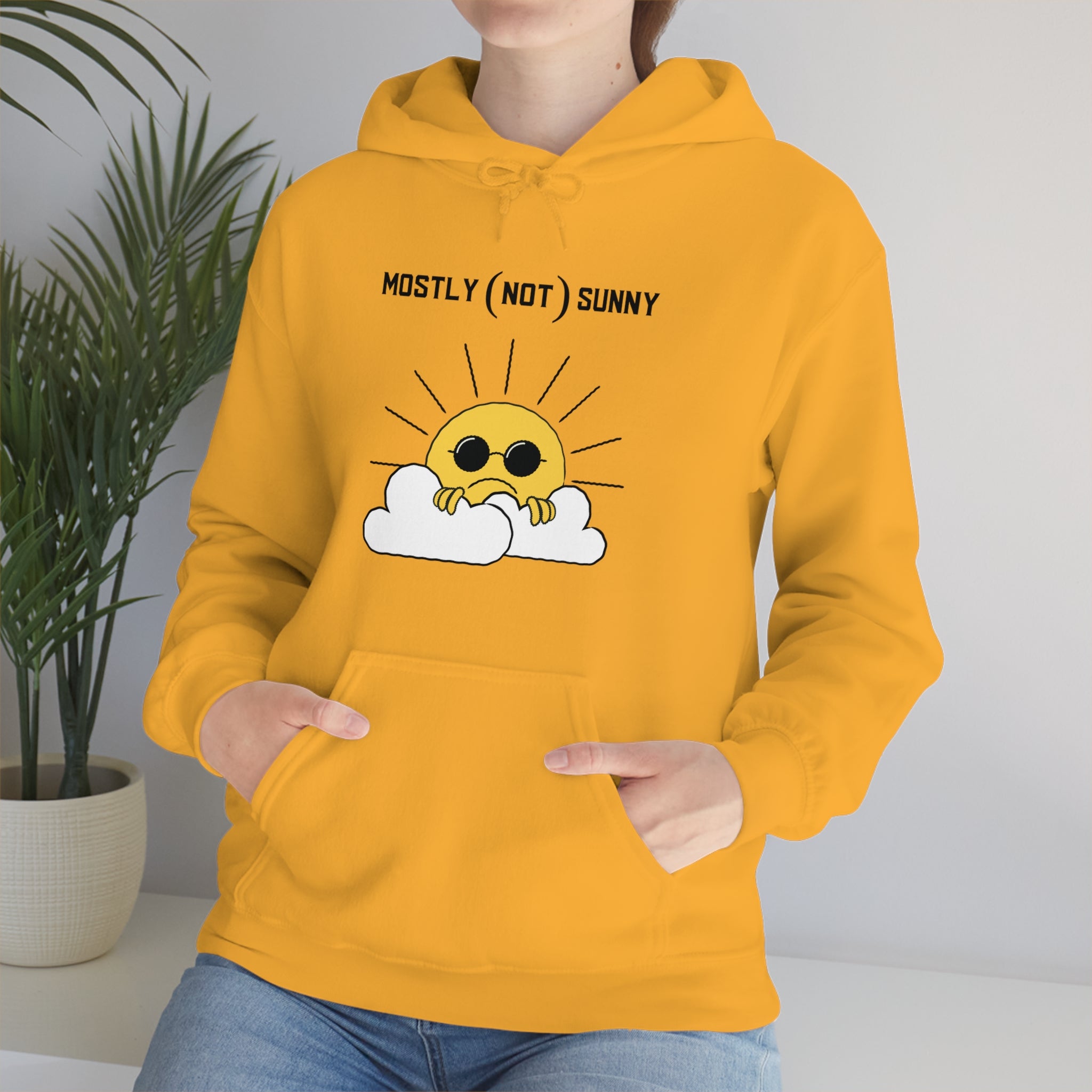 Mostly (Not) Sunny Hoodie 